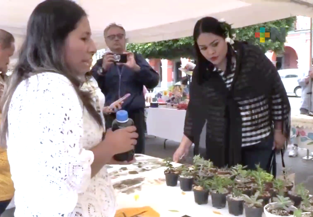 Desarrollan Jornada de Consumo Solidario en Córdoba